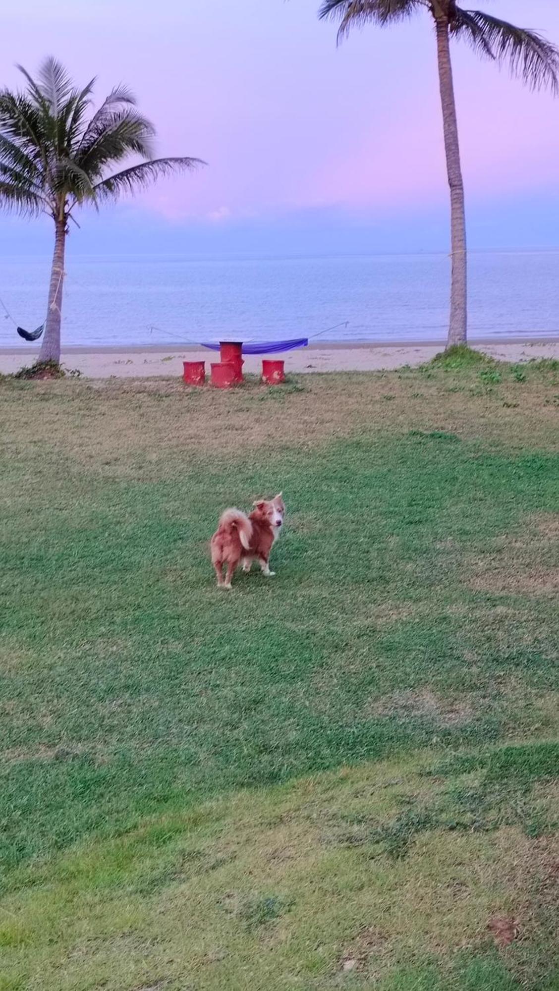 Baan Be Beach Lang Suan Zewnętrze zdjęcie